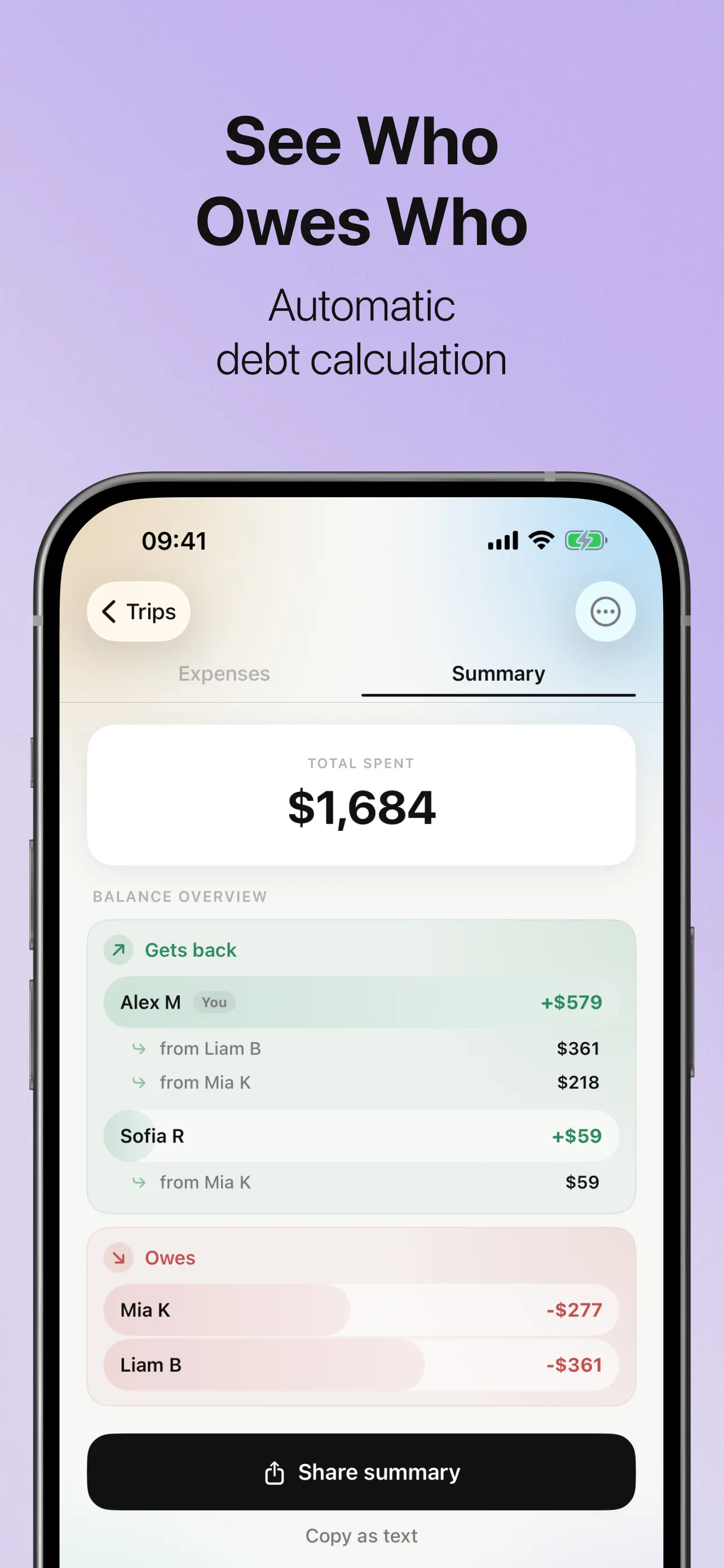 Automatic who-owes-who summary with balance overview showing who gets money back and who owes after the trip